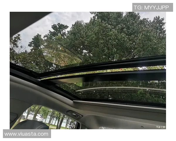 武汉乒乓球队在邀请赛中的强劲表现与团队协作分析